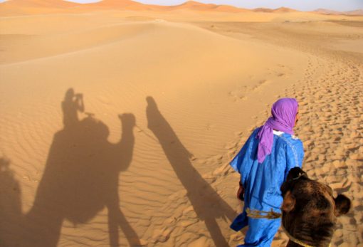 Kamele in der Wüste von Merzouga