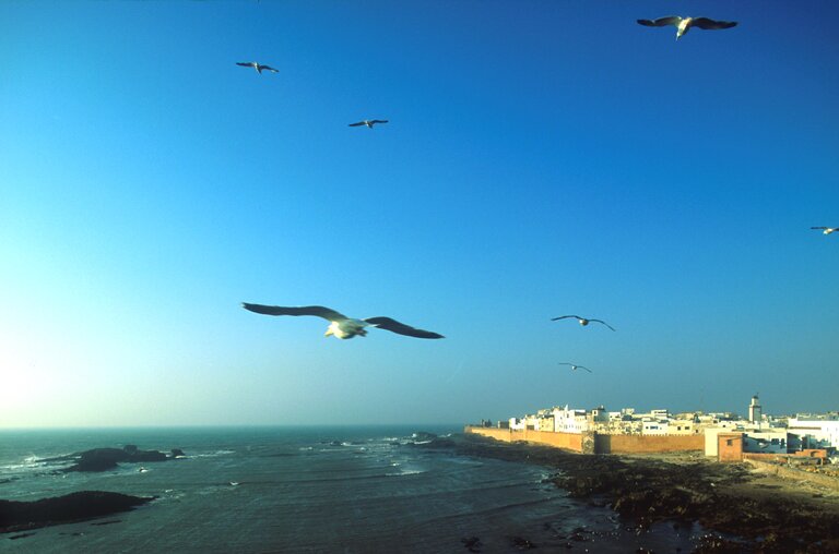 Skyline Essaouira